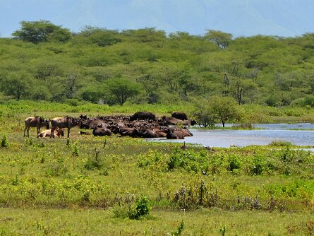 2020-02_Tanzanie 1