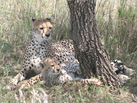 2014-09_Tanzanie